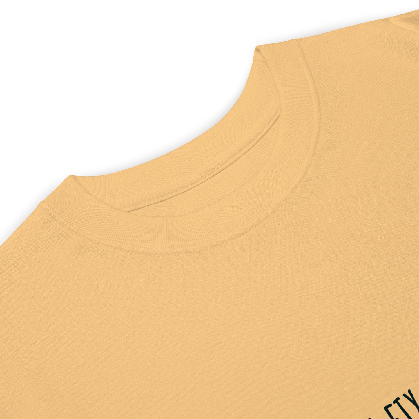 How can I fix my life? Men’s premium heavyweight tee